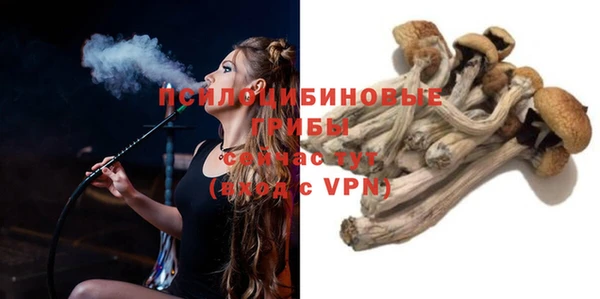 спиды Аркадак