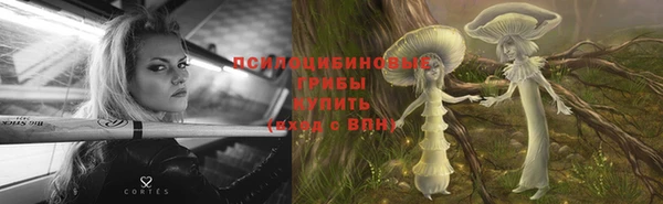 прущий лед Арсеньев