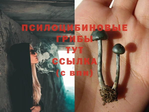 винт Армянск
