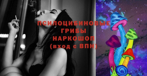 винт Армянск